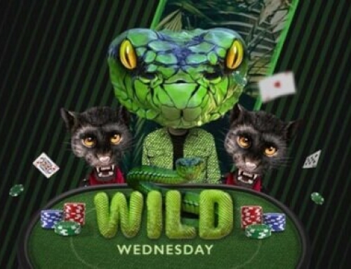 Daily Special: Wild Wednesday